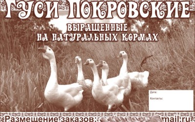 Этикетки на мясную продукцию